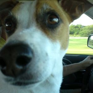 Meet your Posher, Lynn